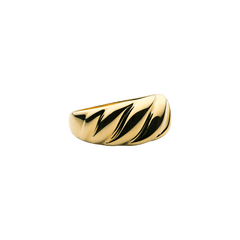 Parisian Ring