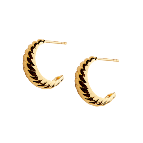 Parisian Hoops